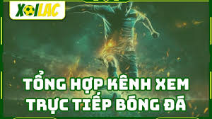 Xoilac - Web xem bóng đá chất lượng tại Xoilac-tv.video