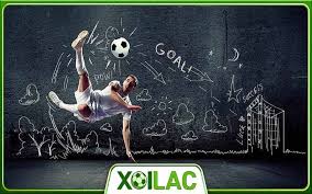 Điều khoản Xoilac-tv.click: Xem bóng đá trực tiếp an toàn